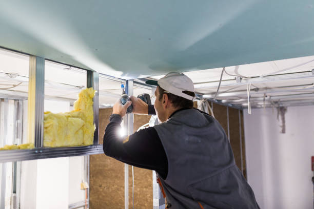 Best Wall Insulation Contractor  in Lake Lakengren, OH